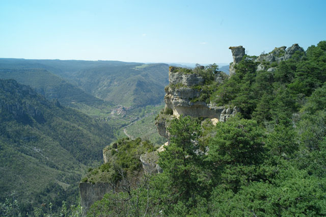 Les gorges du Tarn vues d'en haut